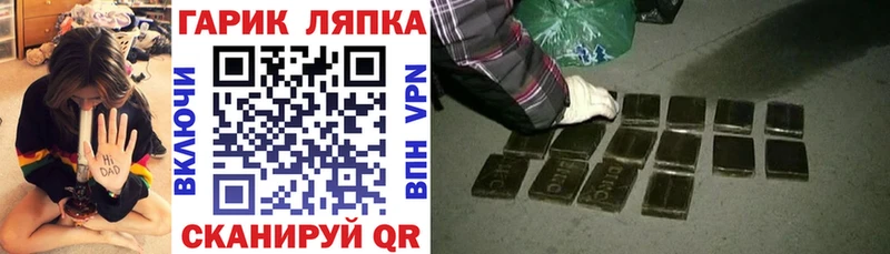 ГАШ Premium  Луховицы 