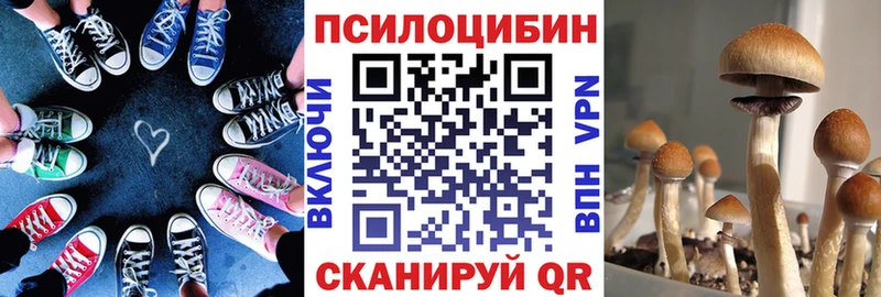 цена   Луховицы  Псилоцибиновые грибы Psilocybine cubensis 